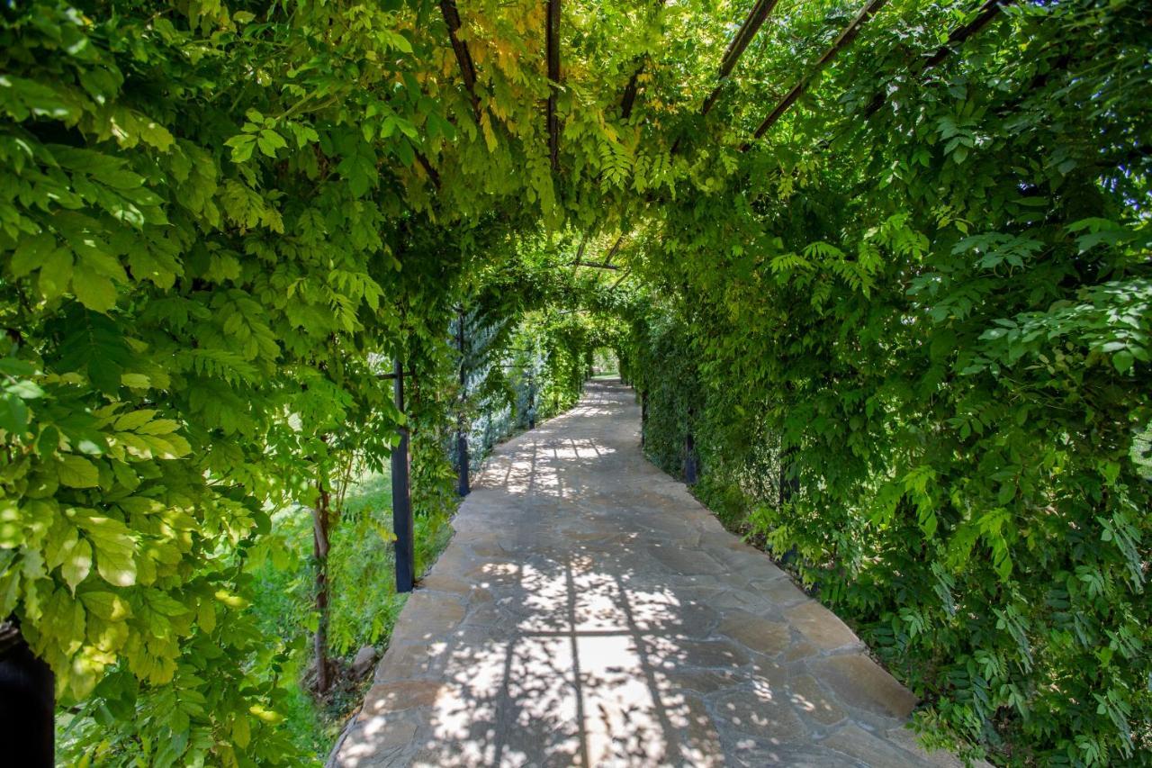 Ambassadori Kachreti Golf Resort Kachretʼi Dış mekan fotoğraf